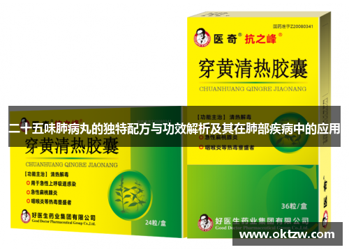 二十五味肺病丸的独特配方与功效解析及其在肺部疾病中的应用