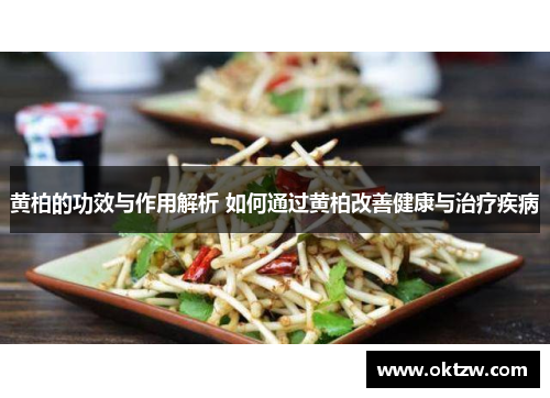 黄柏的功效与作用解析 如何通过黄柏改善健康与治疗疾病