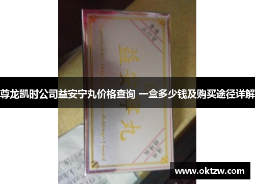 尊龙凯时公司益安宁丸价格查询 一盒多少钱及购买途径详解