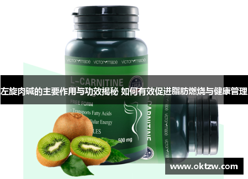左旋肉碱的主要作用与功效揭秘 如何有效促进脂肪燃烧与健康管理